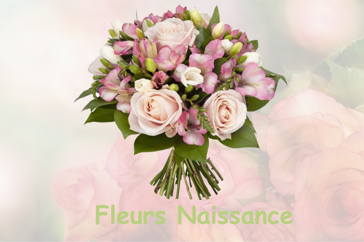 fleurs naissance BISSY-SOUS-UXELLES